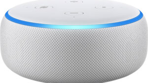 amazon echo sandstone