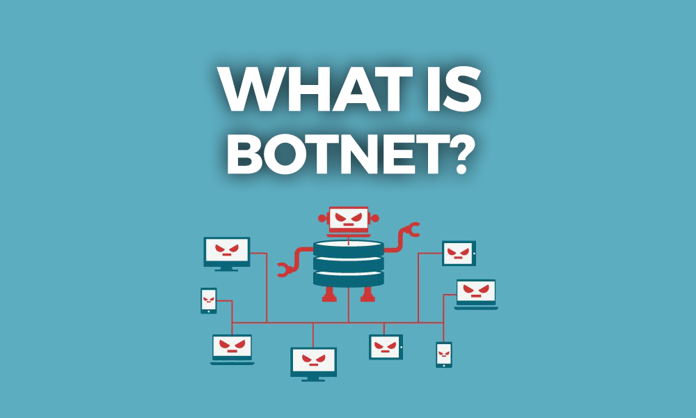 What is a botnet and botnet attack?